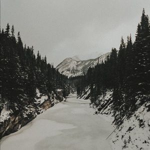 Meet your Posher, Shaylene